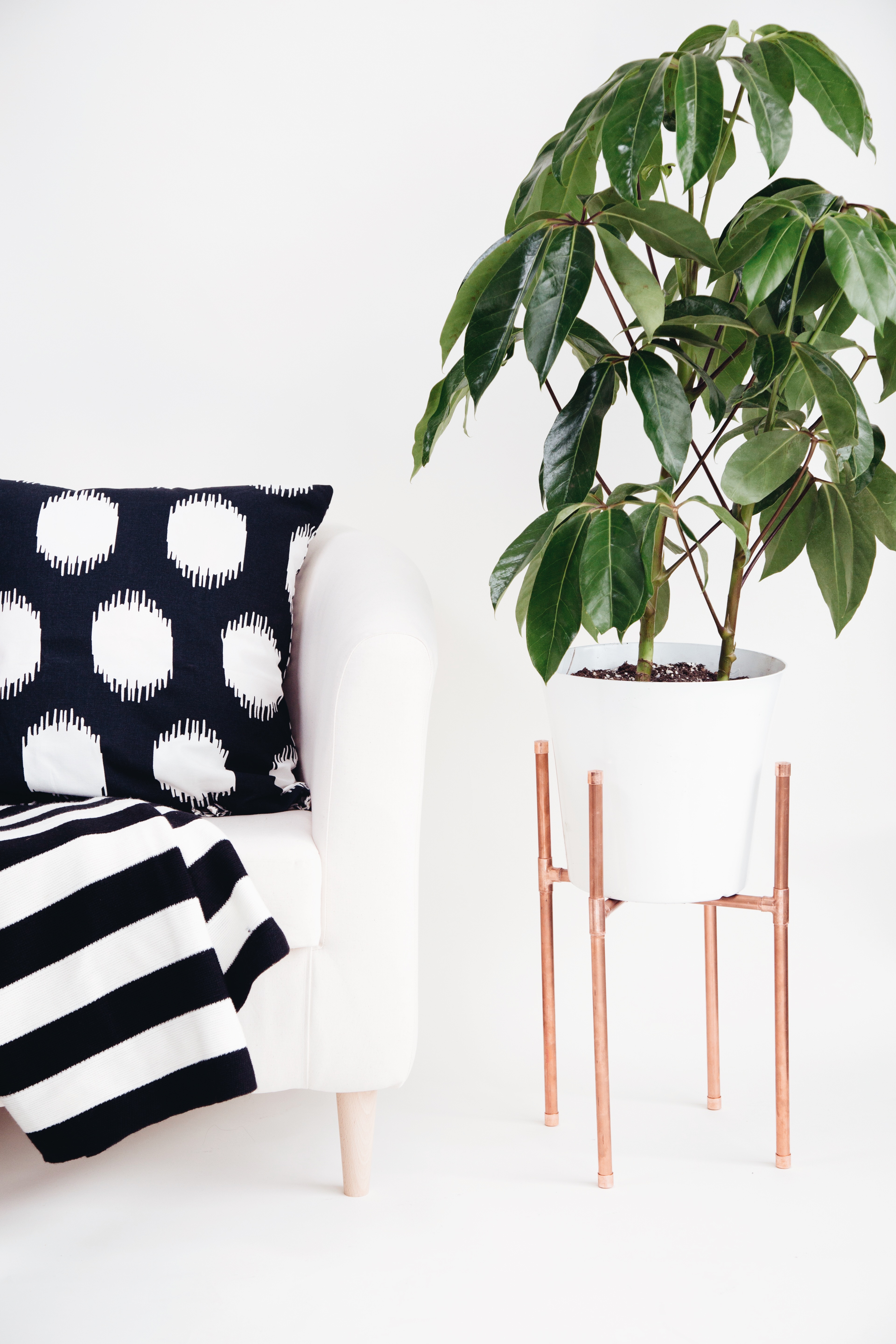 DIY Minimal Copper Pipe Plant Stand Makeful